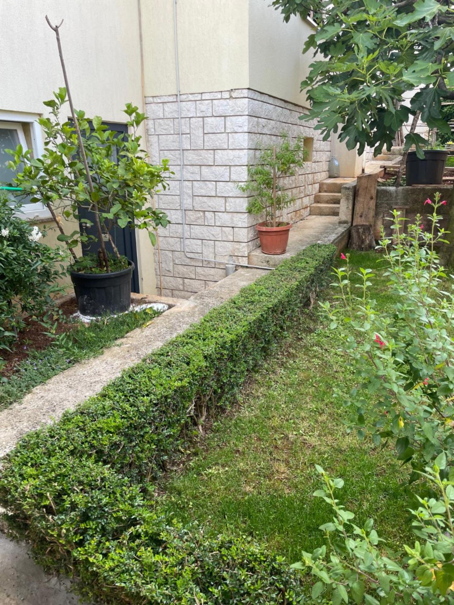Apartmani Darko Rovinj Buitenkant foto